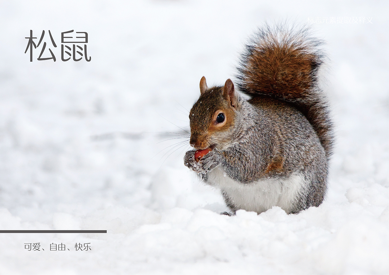 幼儿园LOGO设计 毛豆品牌设计原创案例