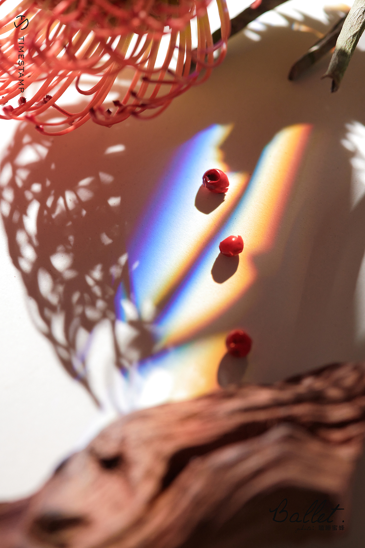 [The little beauty of life | 牛皮的无限可能]