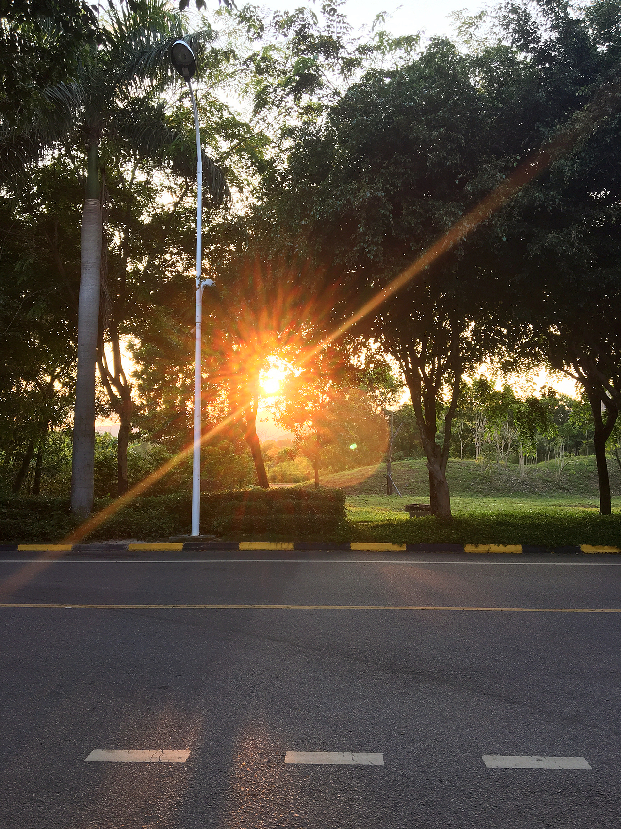 琥珀色流光溢彩的斜阳