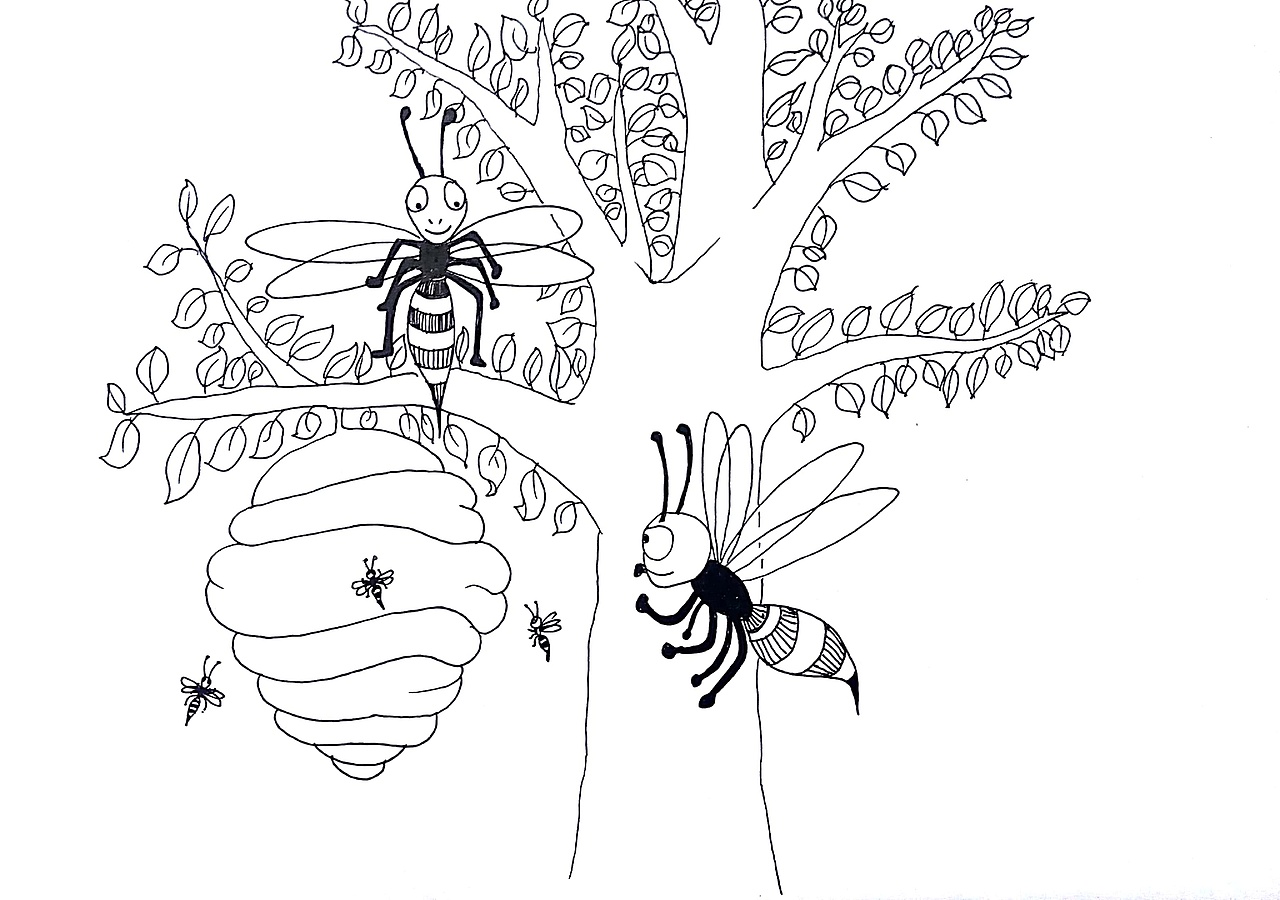 《鸟为什么是鸟儿?》英文绘本