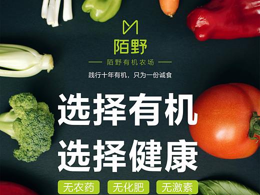 有机蔬菜海报设计