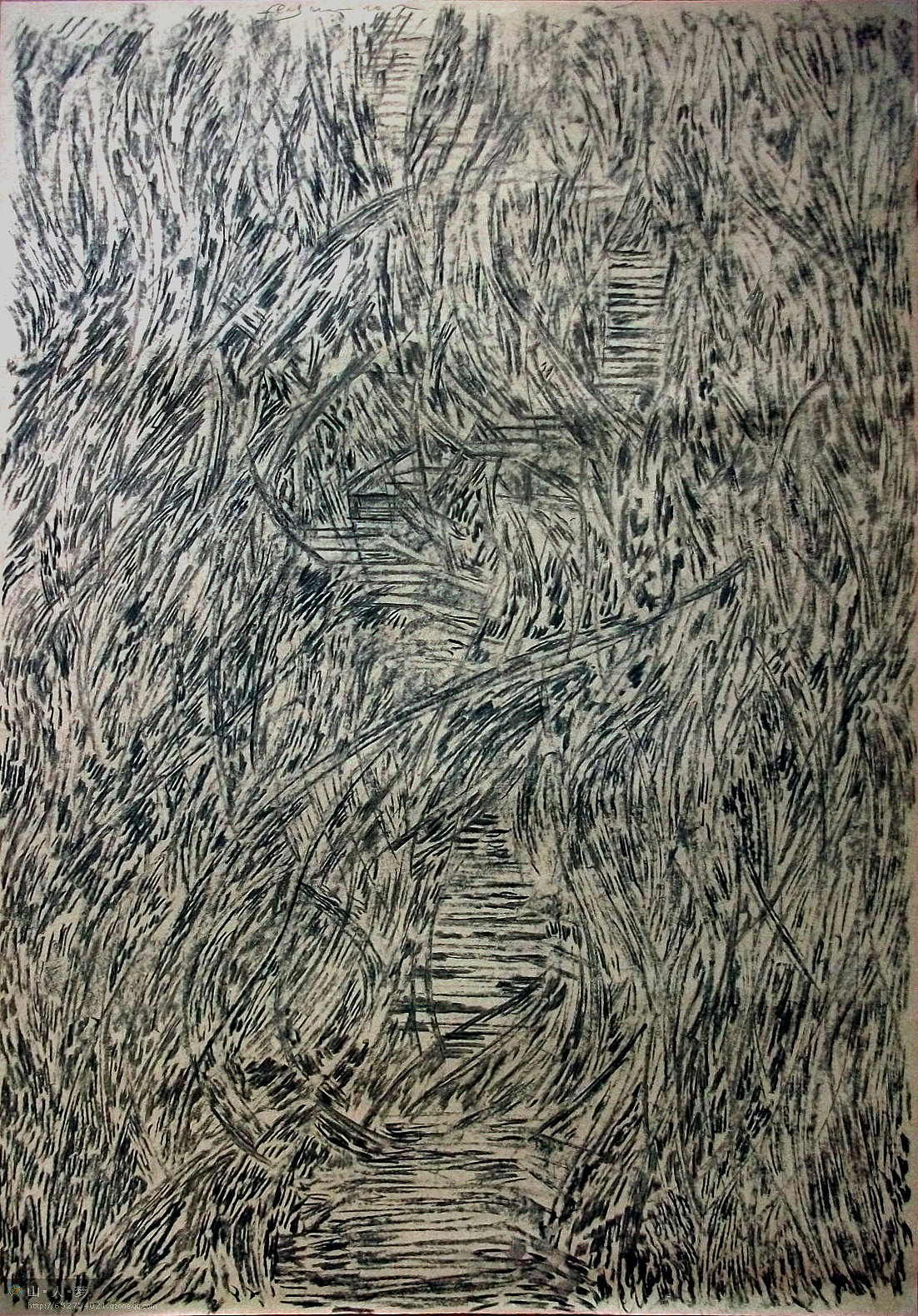 《登山密林记忆》