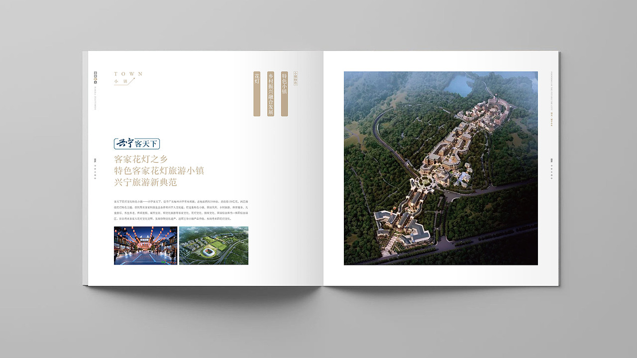 画册设计-文旅地产楼书