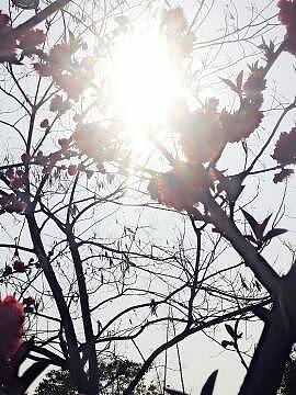 那一年，我的校园，我们的月亮岛