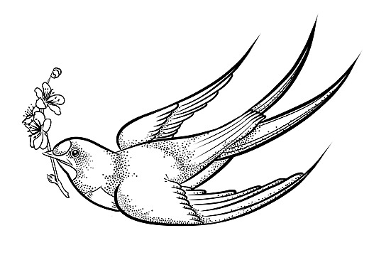 燕窝燕子插画包装