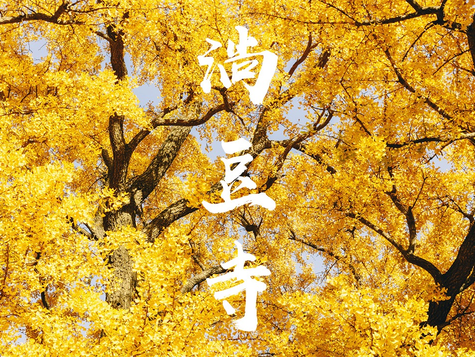 秋色-淌豆寺