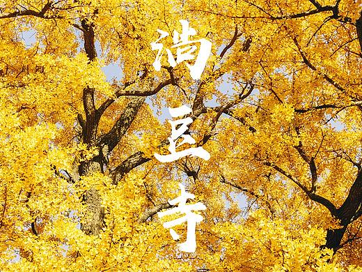 秋色-淌豆寺