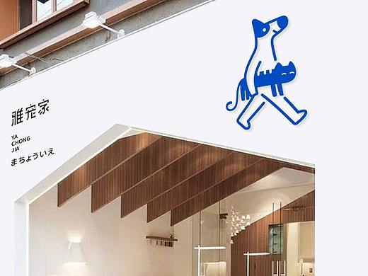 LOGO 宠物LOGO设计 猫粮包装 宠物品牌设计 vi vi设计