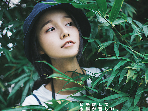 怀念太阳。