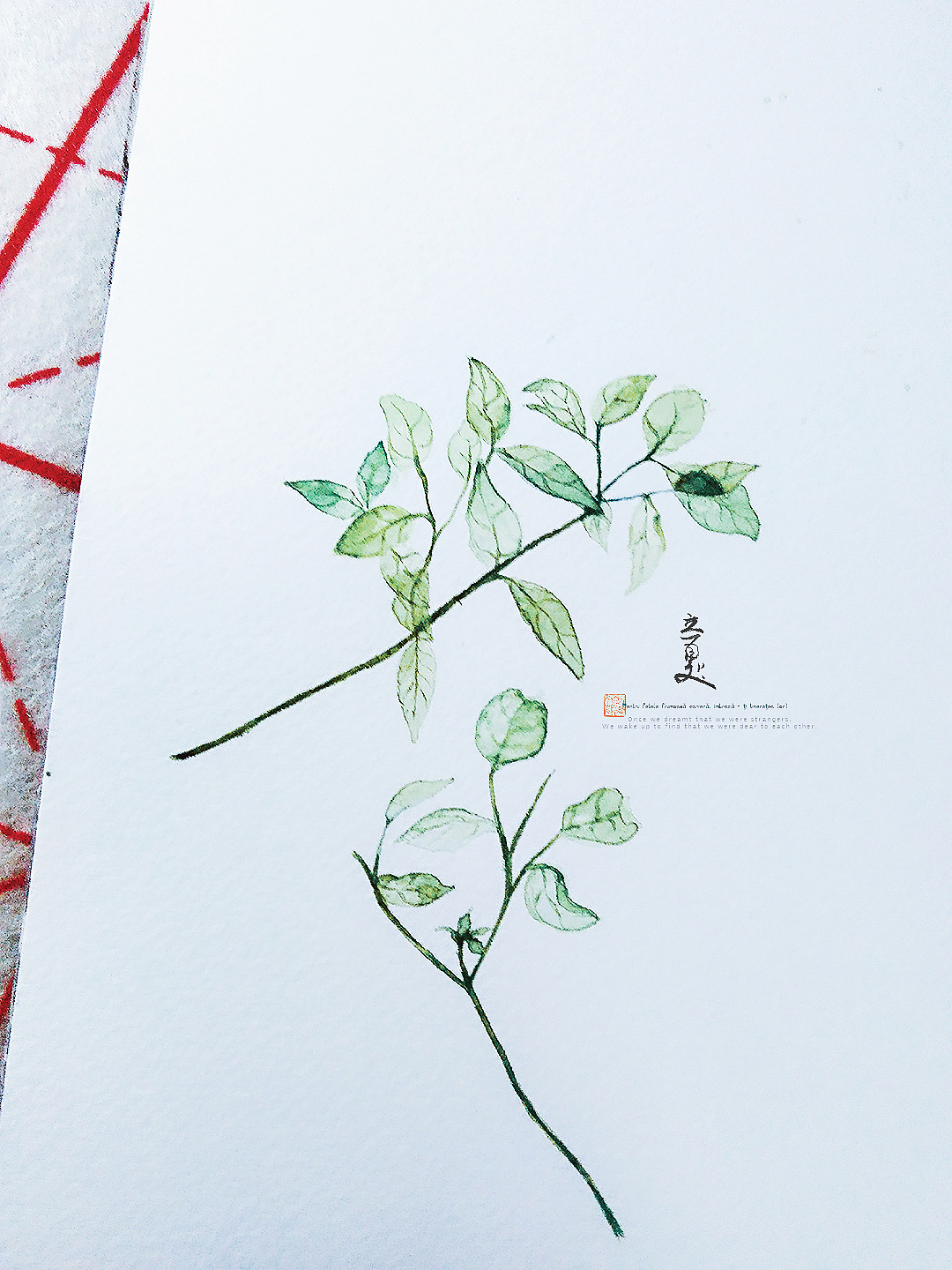 水彩/初学 《夏》