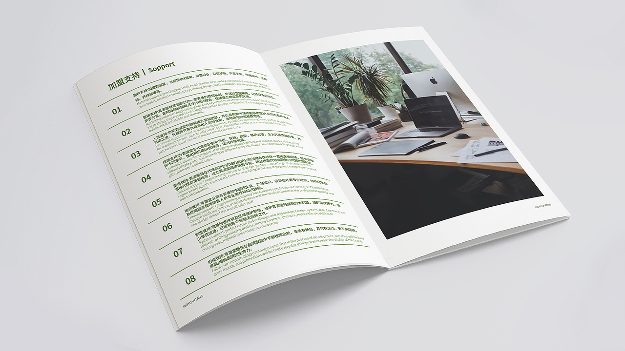 商业画册 品牌 招商加盟