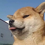 林叮咛的头像