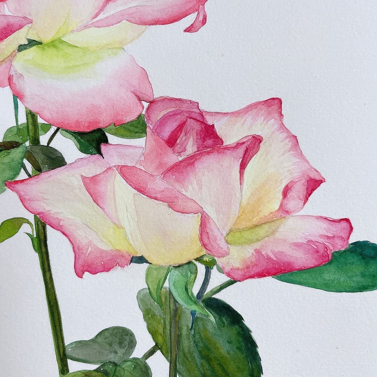 水彩（图ZMjQ0NDQwNTcy） - 绘画 - 站酷设计师北北是我呀原创素材 - 站酷ZCOOL