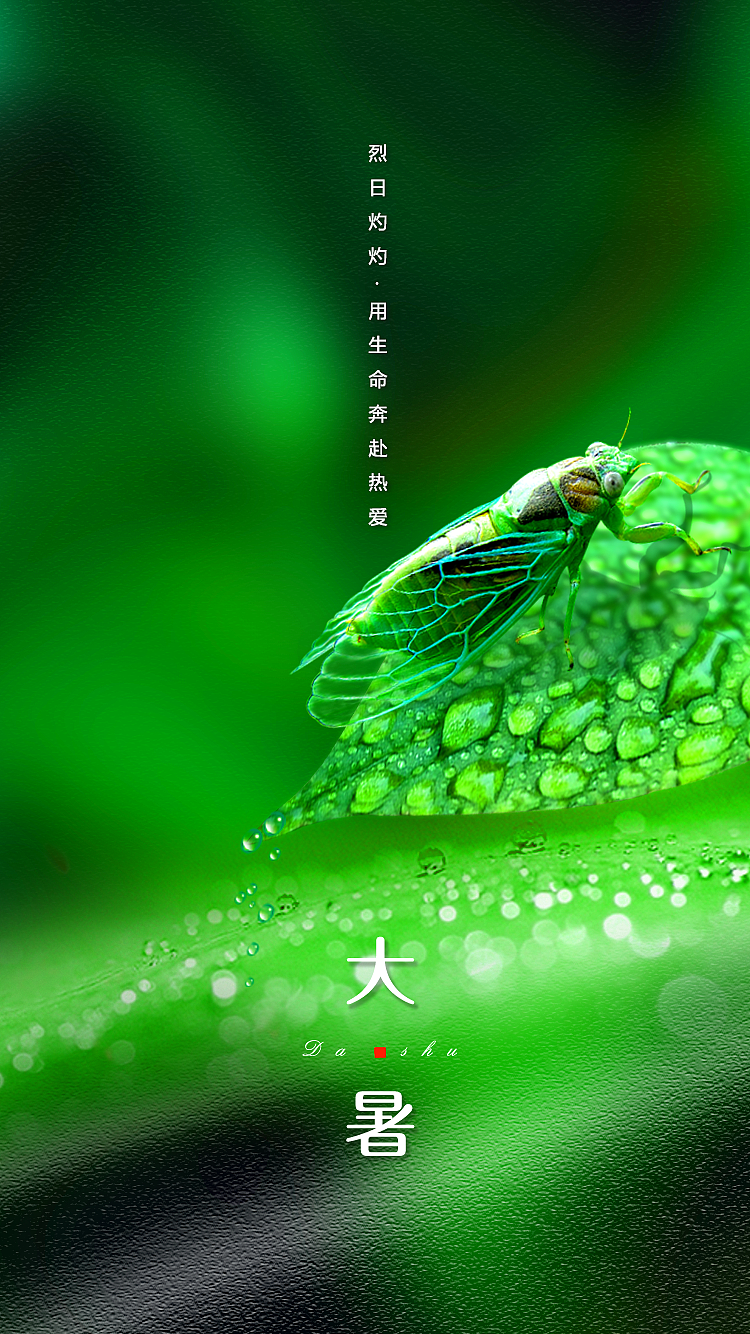 节日 | 节气海报（图ZMjMyMDg3MDg0） - 海报 - 站酷设计师玄子设计原创素材 - 站酷ZCOOL