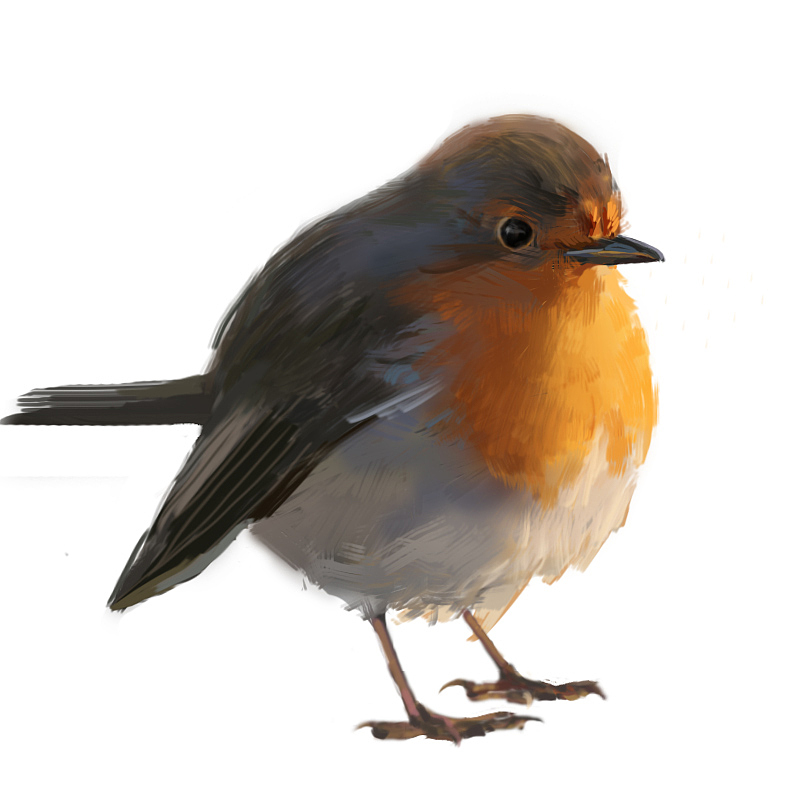 1月到3月的一些随笔