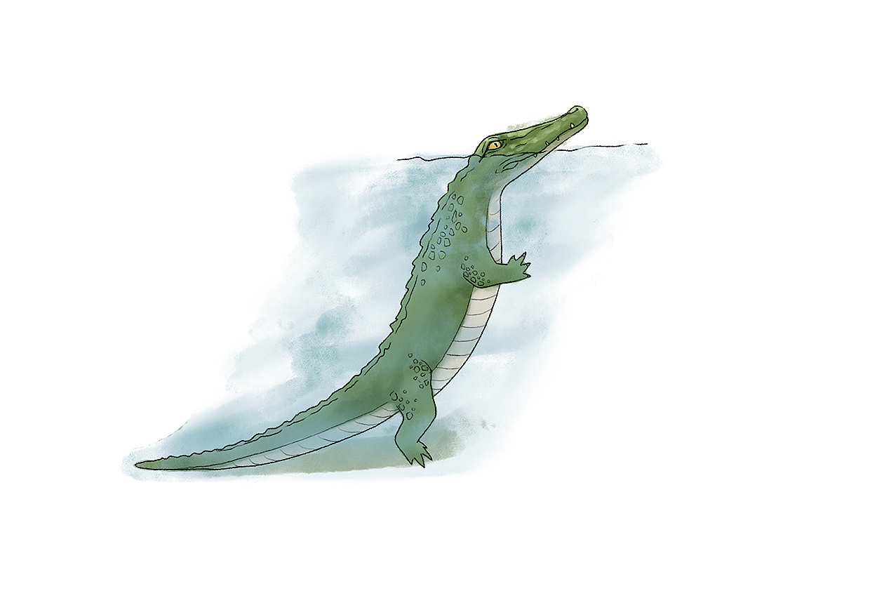 动物百科绘本之鳄鱼