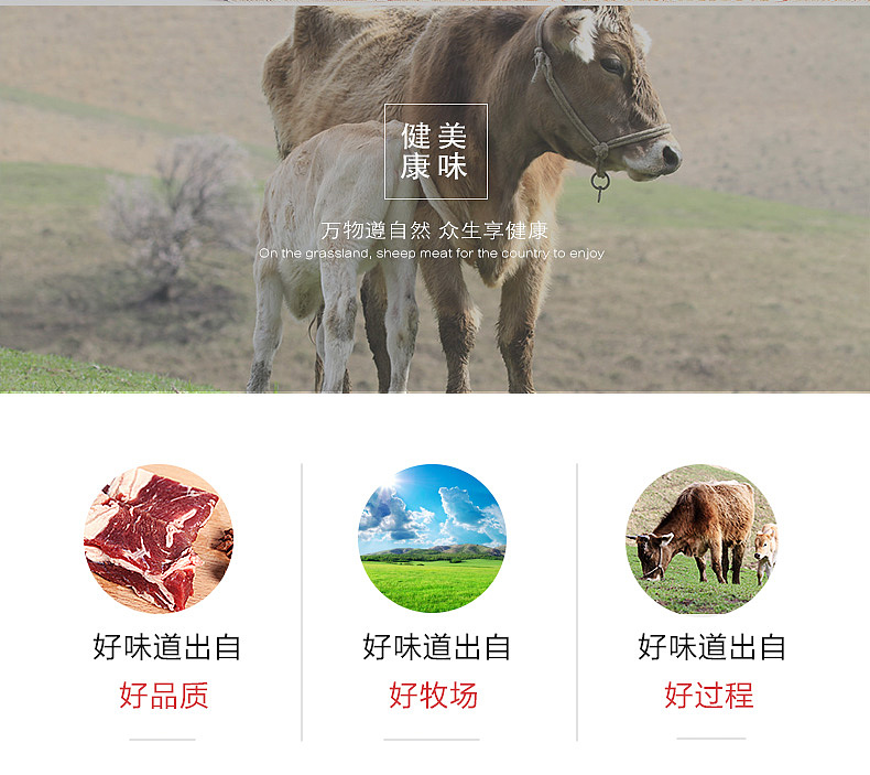 生鲜牛肉详情页（图ZMTA3ODMwMTky） - 电商 - 站酷设计师峰恋原创素材 - 站酷ZCOOL