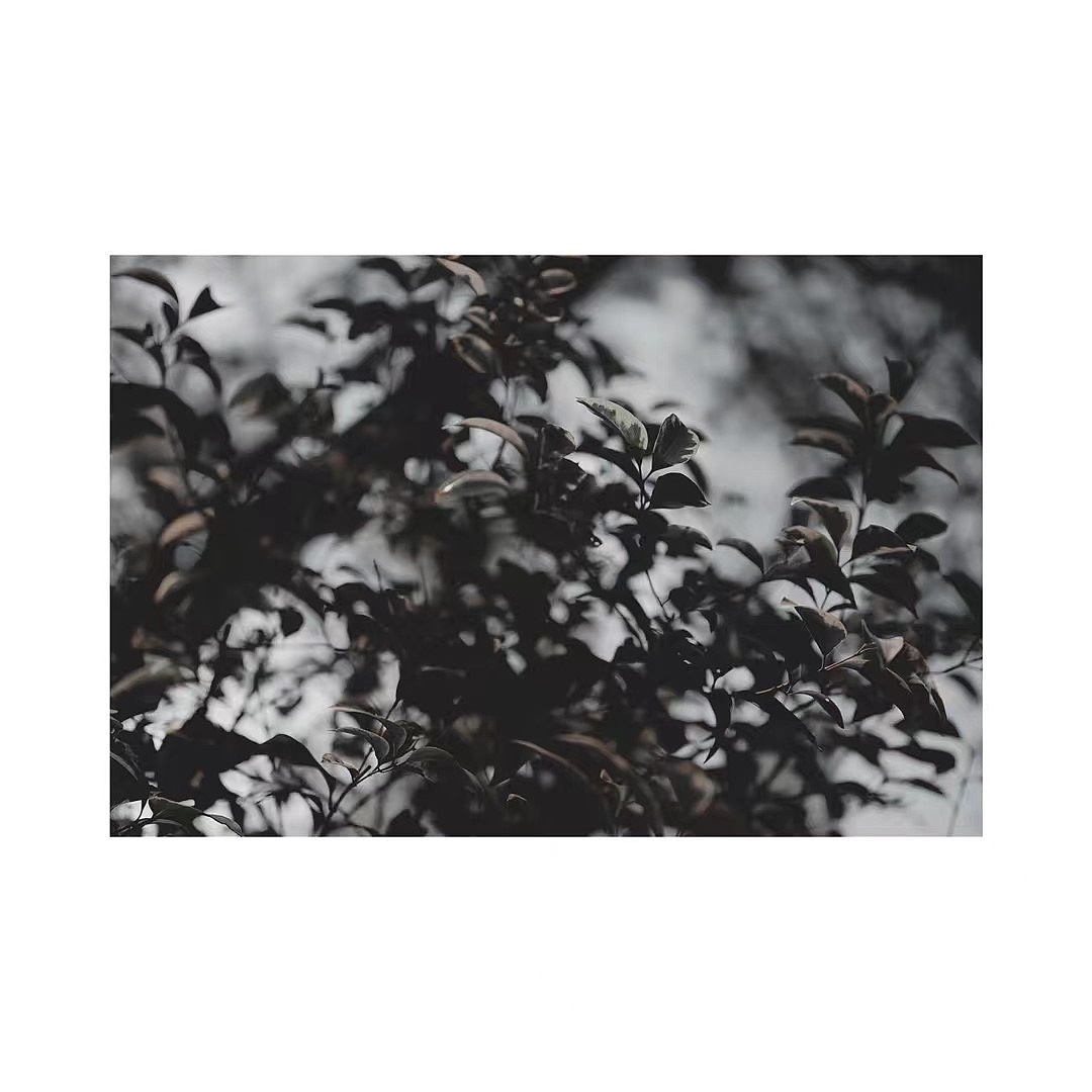 散落的光（图ZMjQ1MTk0MjQ0） - 风光摄影 - 站酷设计师花酱紫啊原创素材 - 站酷ZCOOL