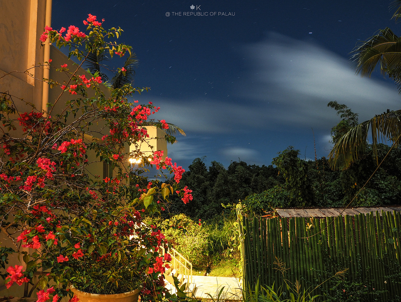 帕劳共和国旅拍