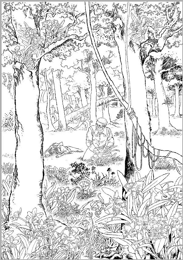 连环画，写实漫画线稿，写实黑白插画，写实插画，肖刚（图ZMTcxMzQwNTIw） - 商业插画 - 站酷设计师肖刚漫画原创素材 - 站酷ZCOOL