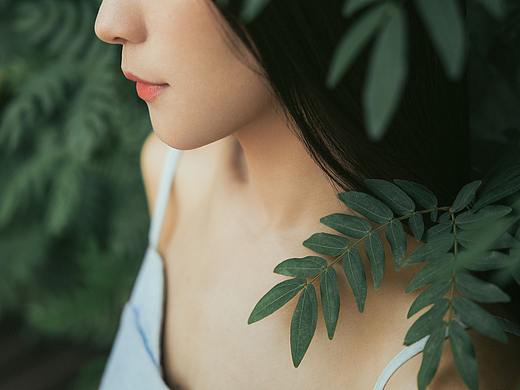 仲夏蝉鸣时