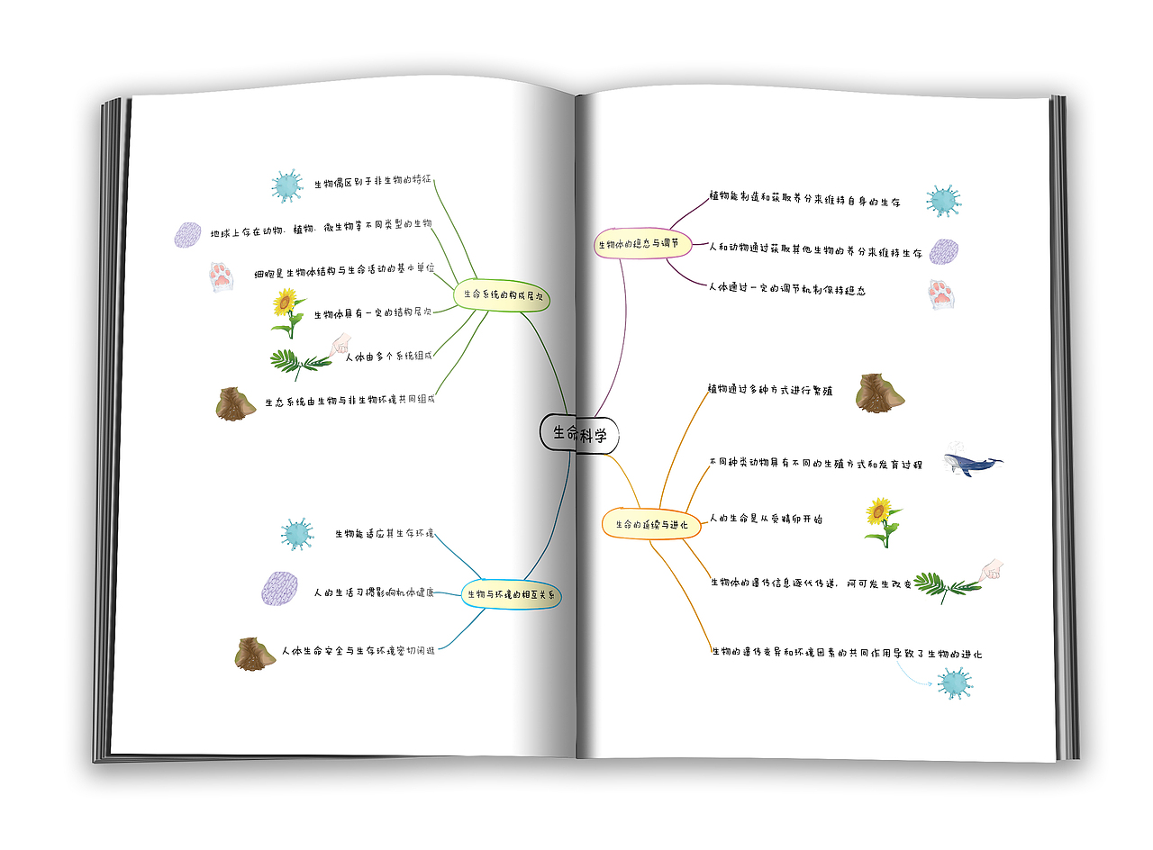 版式设计-小学科学