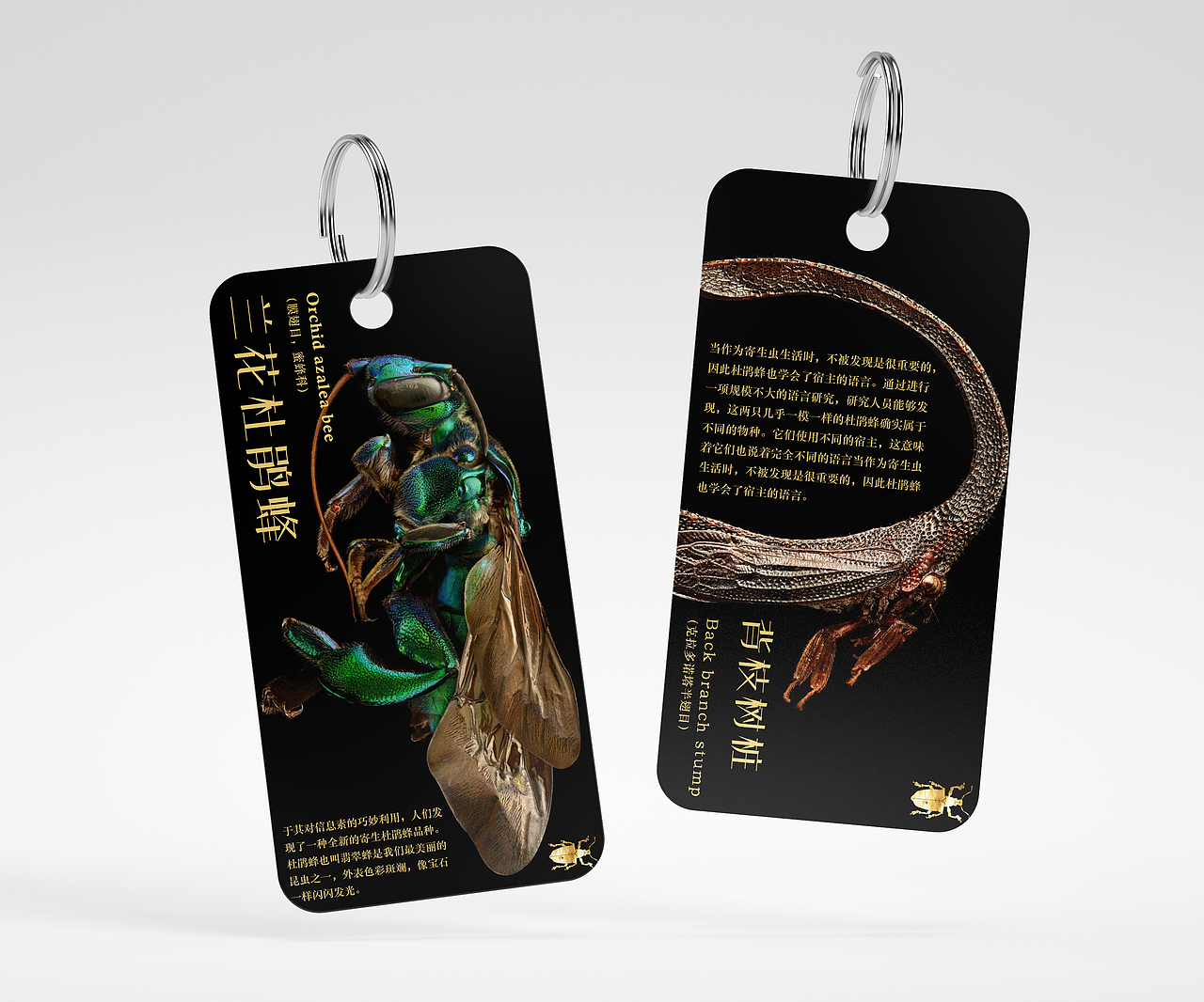 《蟲之形》 | 微觀昆蟲攝影展（圖ZMzYwODIzMjIw） - 其他平面 - 站酷設(shè)計(jì)師熊貓?zhí)淘瓌?chuàng)素材 - 站酷ZCOOL