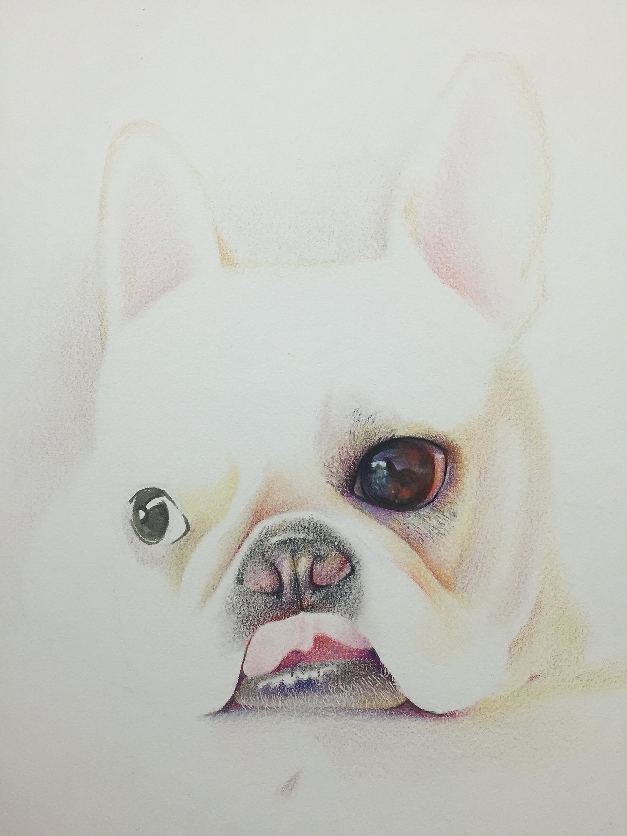 彩铅法斗（图ZMzczOTczNjA=） - 绘画 - 站酷设计师木下彩铅原创素材 - 站酷ZCOOL