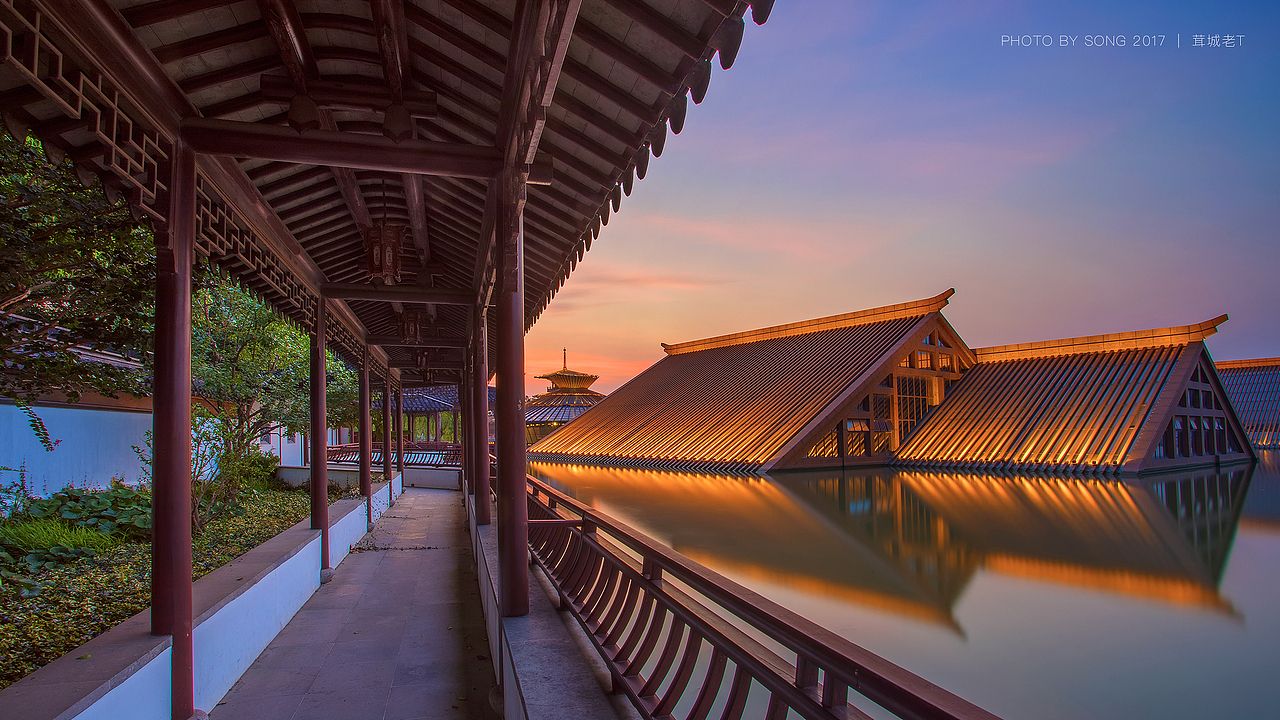 20分享收藏老街虞美人青海花田标签广富林遗址松江上海茸城老t古建筑