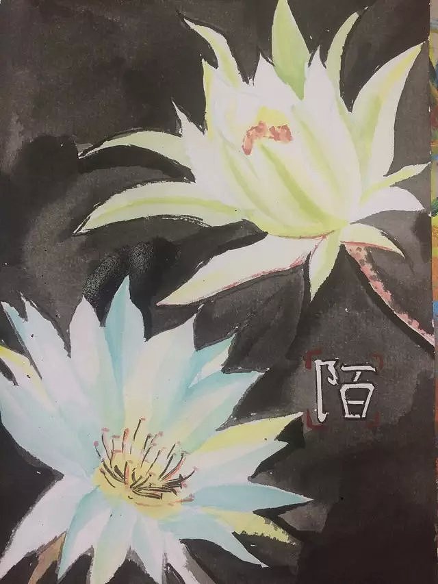 清新（图ZMjk3NTYwOTY=） - 创作习作 - 站酷设计师佐小陌原创素材 - 站酷ZCOOL