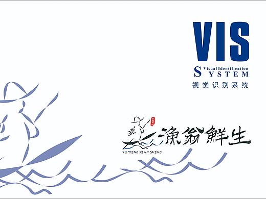 VIS设计