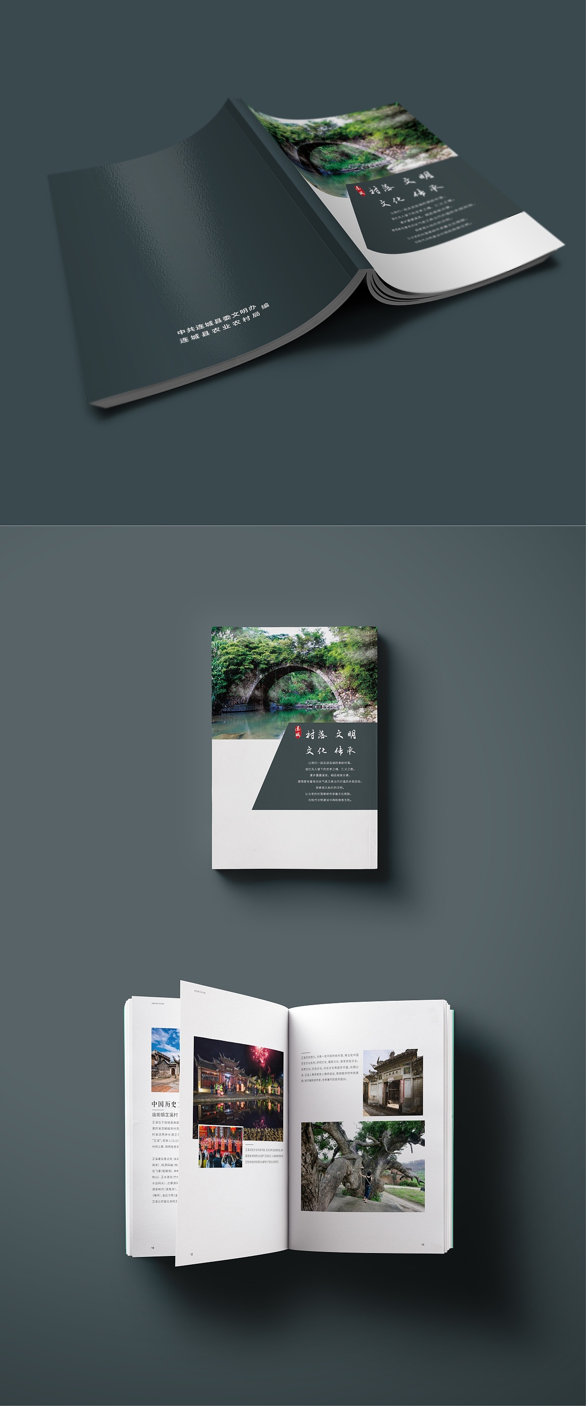 地域文化宣传册,排版文字及图片都有讲究,简洁大方,为宣传家乡文化尽