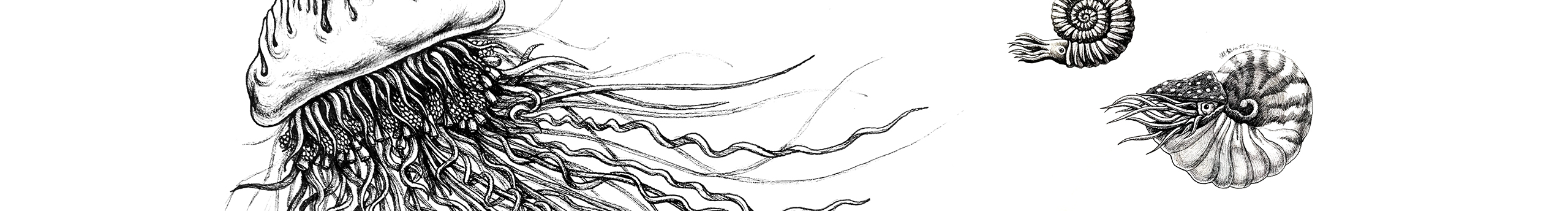 懶散的橙色的個人主頁（封面預(yù)覽） - 主頁封面設(shè)置 - 站酷設(shè)計師懶散的橙色原創(chuàng)素材 - 站酷ZCOOL