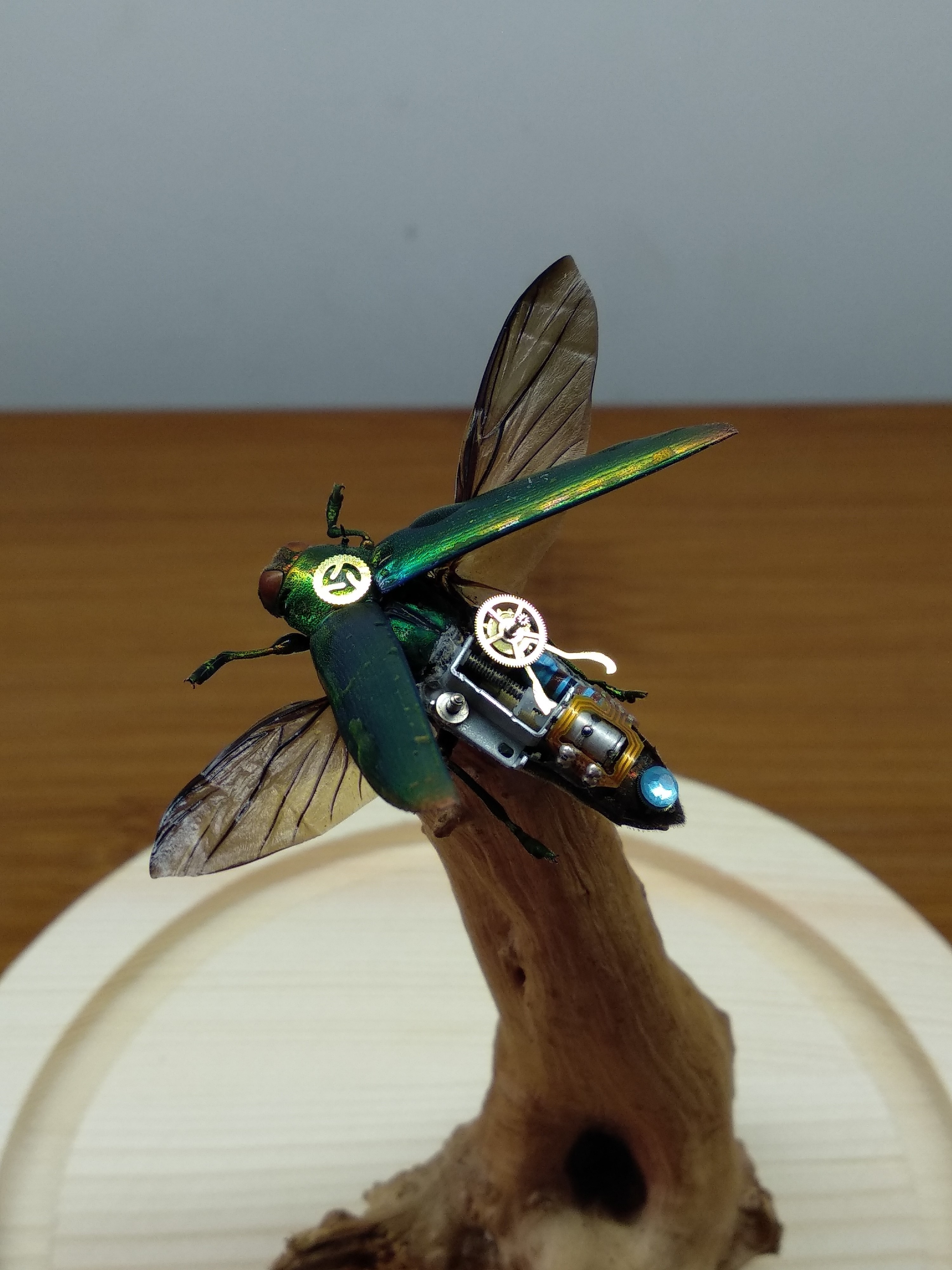蒸汽朋克机械甲虫标本--【空中宝石系列】之异彩精灵
