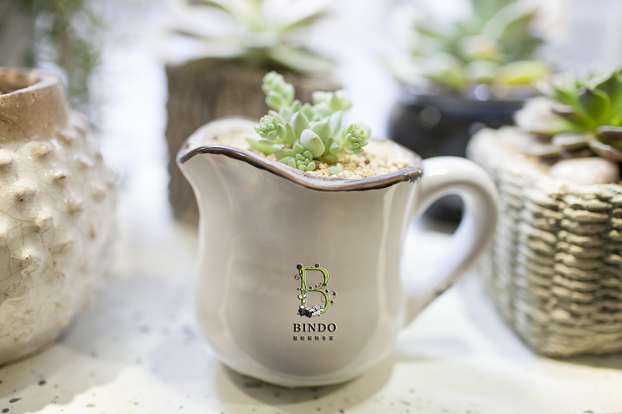 BINDO植物装饰VI设计