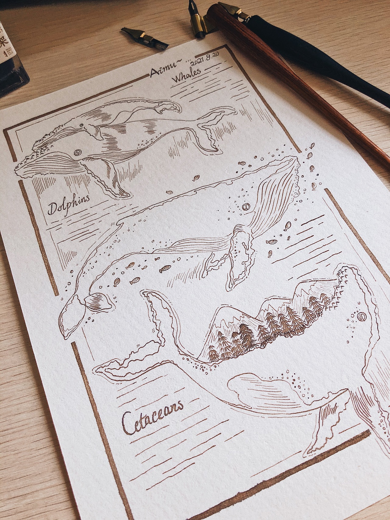 蘸水笔·鲸鱼丨蓝鲸插画 纹身图案设计