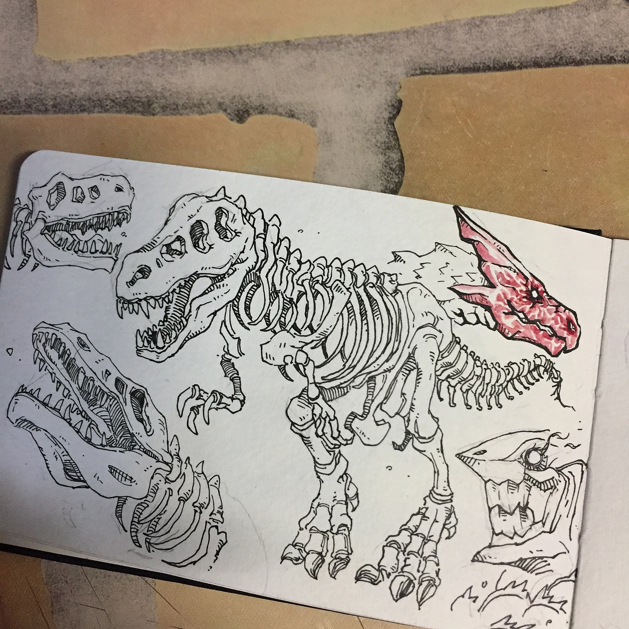 从小就对恐龙特别着迷