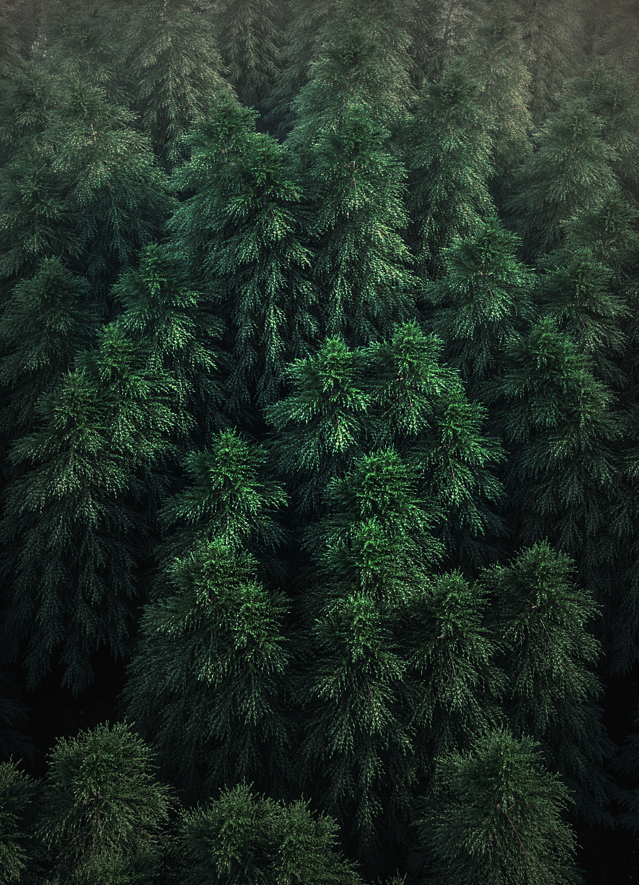 2019上半年个人创作总结