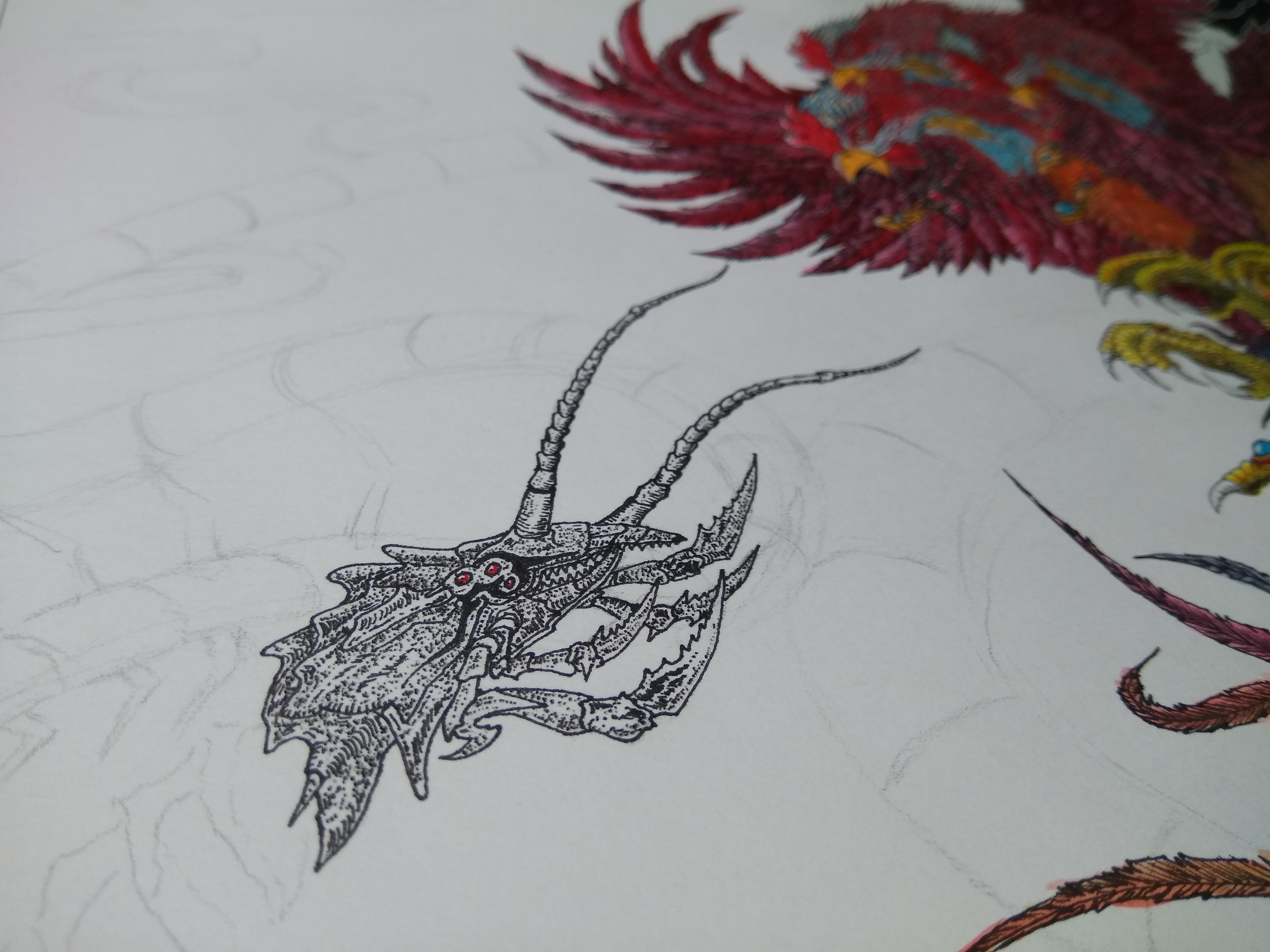 20180305山海经南山经尚鸟付鸟