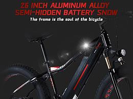 亞馬遜電動(dòng)車細(xì)節(jié)主圖