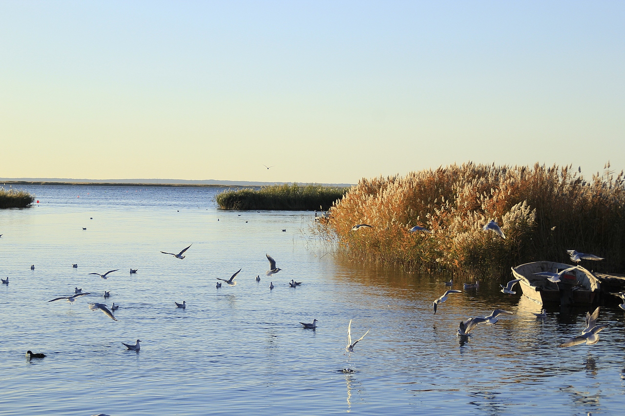 内蒙古额济纳旗