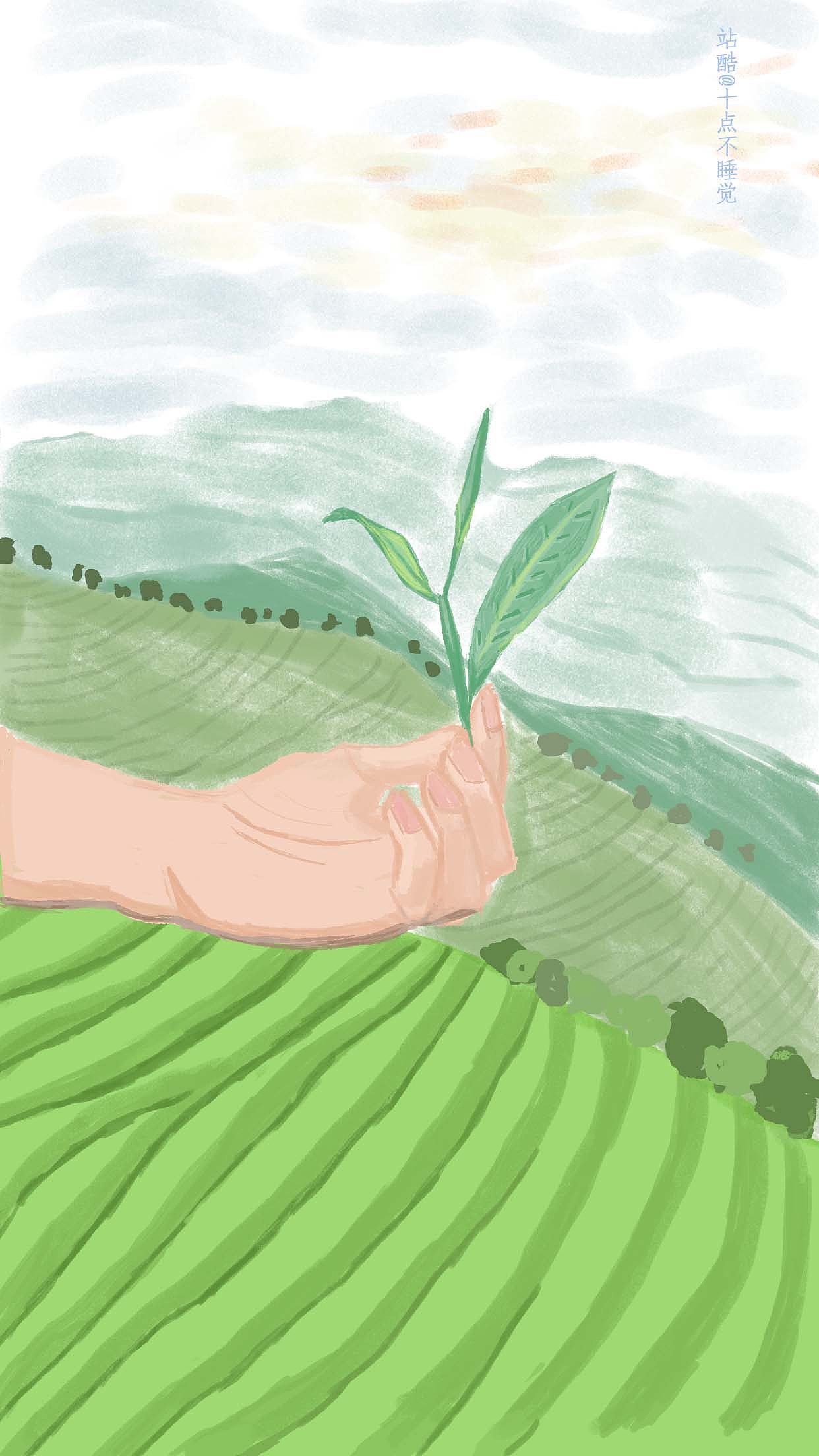 春茶|插画|创作习作|木清然_原创作品-站酷(zcool)