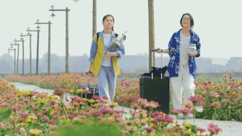 《向往的生活》第四季节目花字以及动画包装-大千影业（图ZMjA2ODc5ODY4） - 栏目片头 - 站酷设计师OHA_Studio原创素材 - 站酷ZCOOL