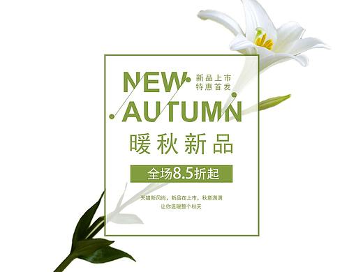 字体排版