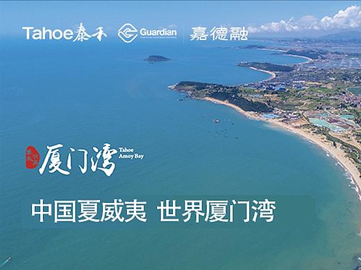 项目小视频