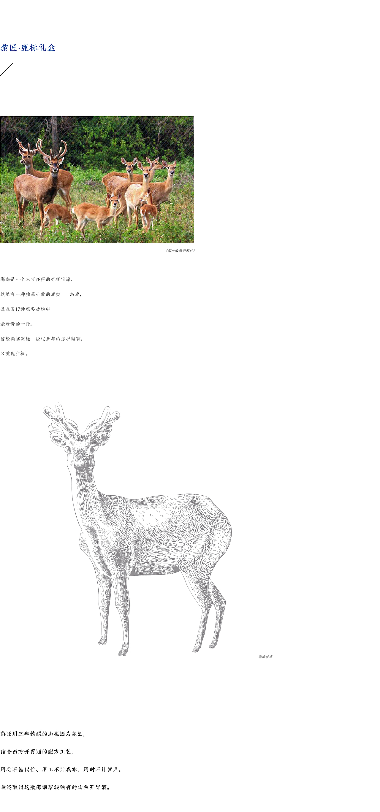 黎匠X贰伍壹拾 |海南山兰酒包装