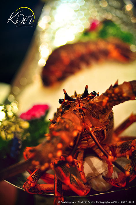 又是一个圣诞结（图ZNDcyNDA4NA==） - 其他摄影 - 站酷设计师AsKiWi原创素材 - 站酷ZCOOL