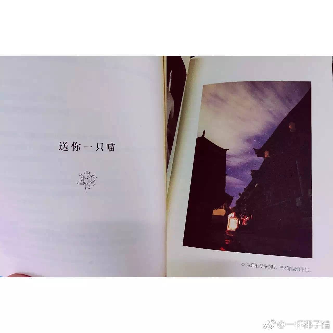 生活 足迹 琐碎（图ZOTQwNzAwMDA=） - 风光摄影 - 站酷设计师十二有猫原创素材 - 站酷ZCOOL