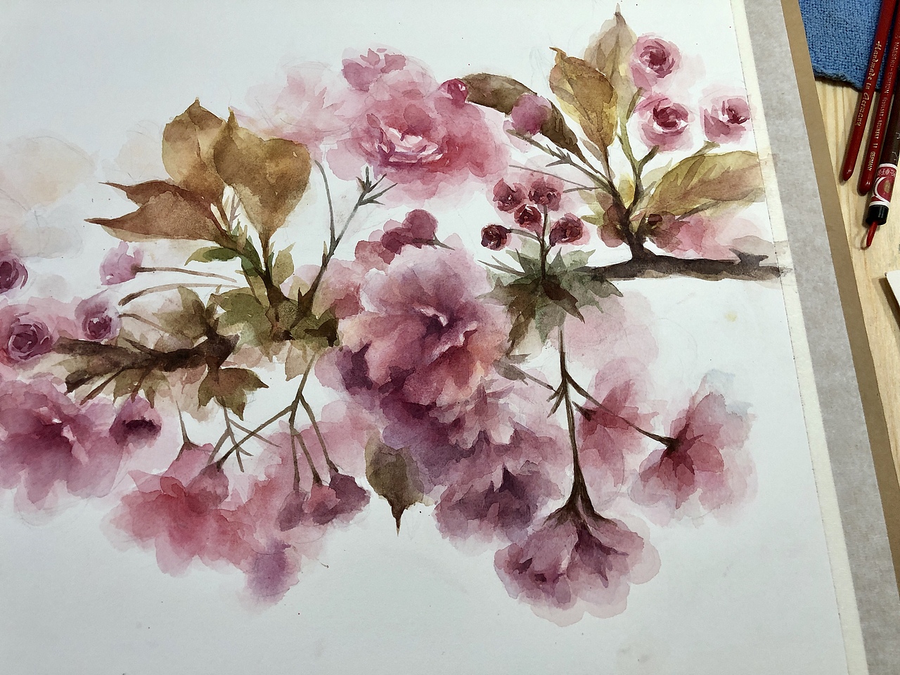 下一个春天去看樱花可好