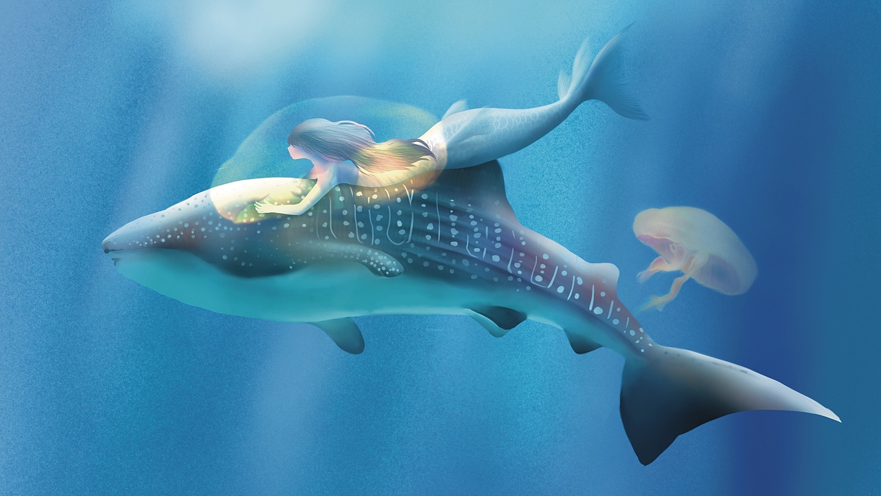 电脑壁纸之海|插画|商业插画|查rui_原创作品-站酷zcool